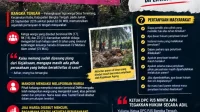 Infografik-Penyitaan-Lahan-Sawit-di-Bangka-Tengah2-768x1152